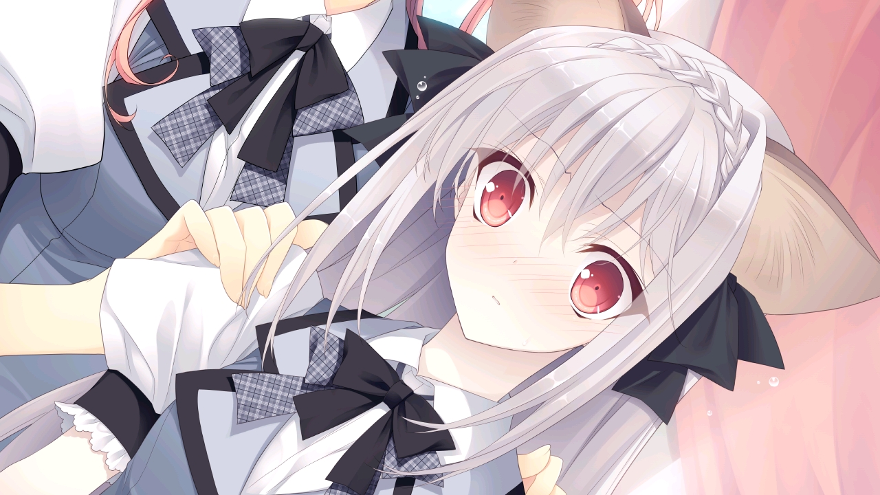 近月少女的礼仪  2